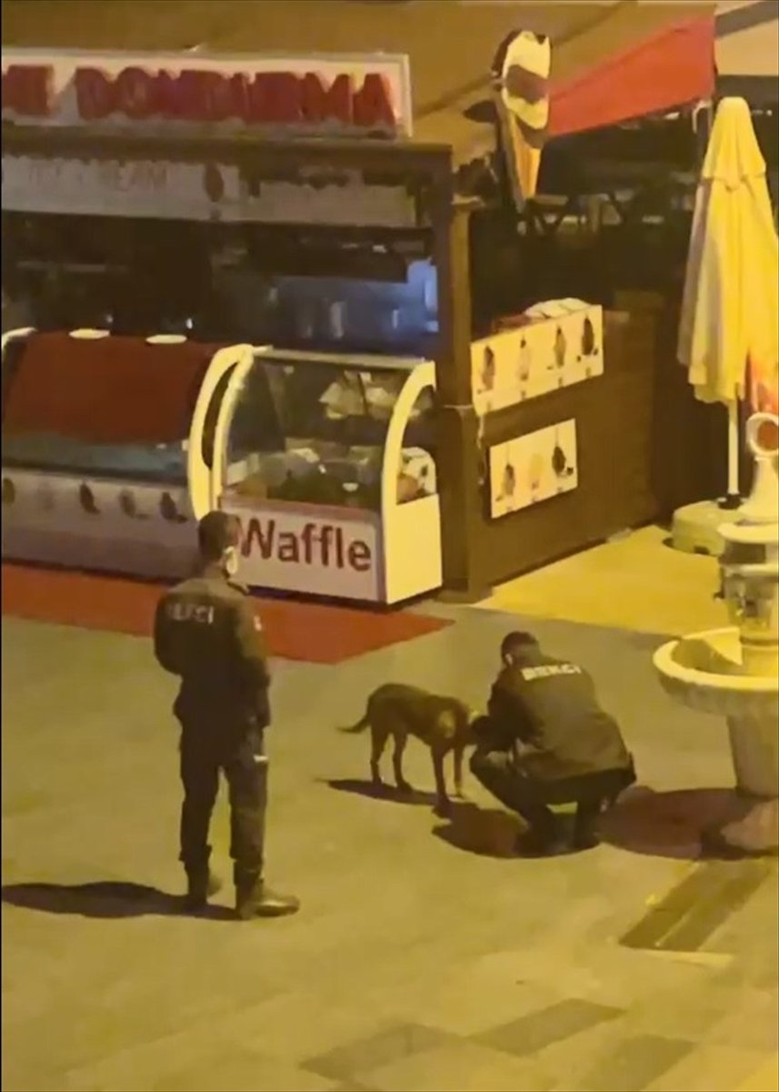 Kaş'ta Bekçinin Çeşme Çevresinde Dolaşan Köpeğe Eliyle Su İçirmesi Kameraya Yansıdı