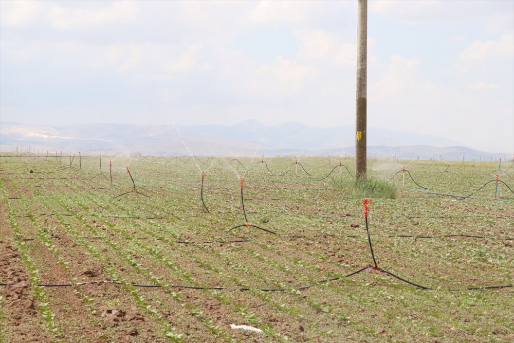 Niğde'de 748 Sulama Projesine 37,5 Milyon Lira Destek