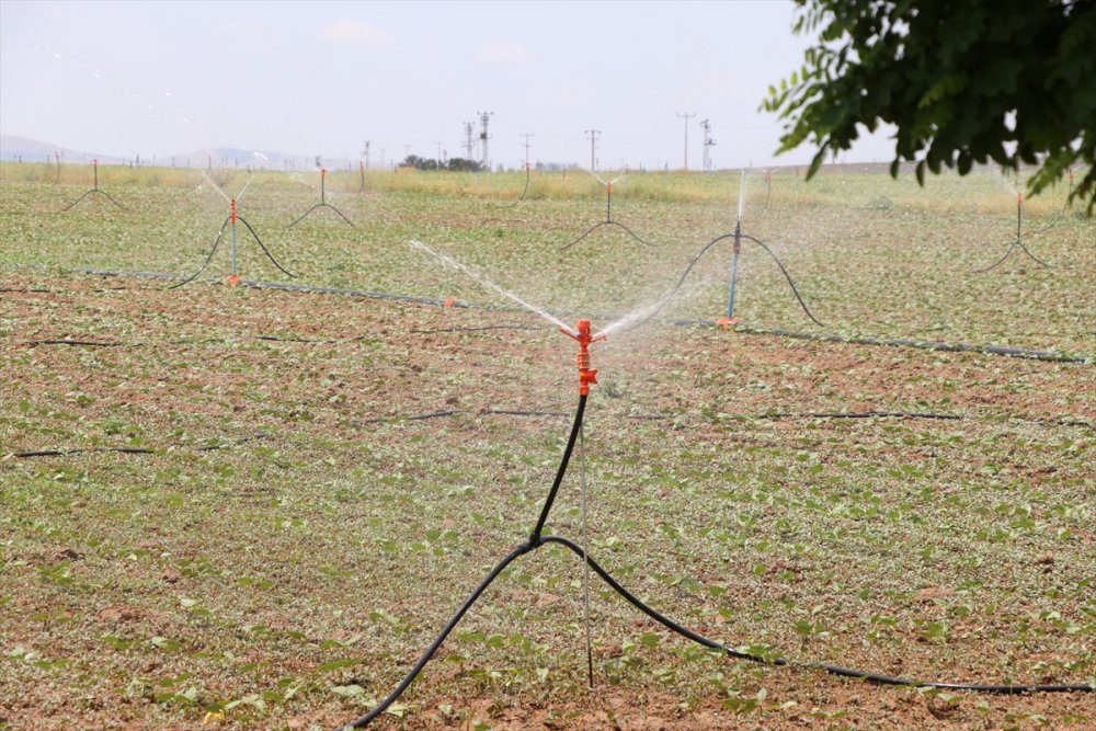 Niğde'de 748 Sulama Projesine 37,5 Milyon Lira Destek