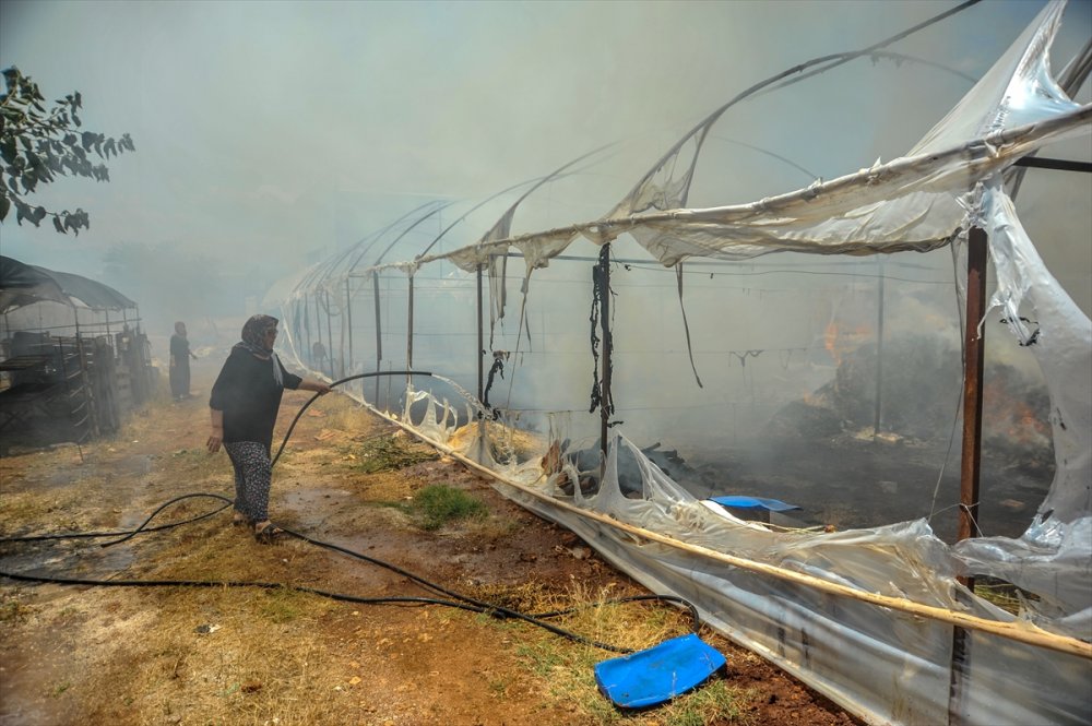 Antalya'da Kuru Çiçek Serasında Çıkan Yangın Hasara Neden Oldu