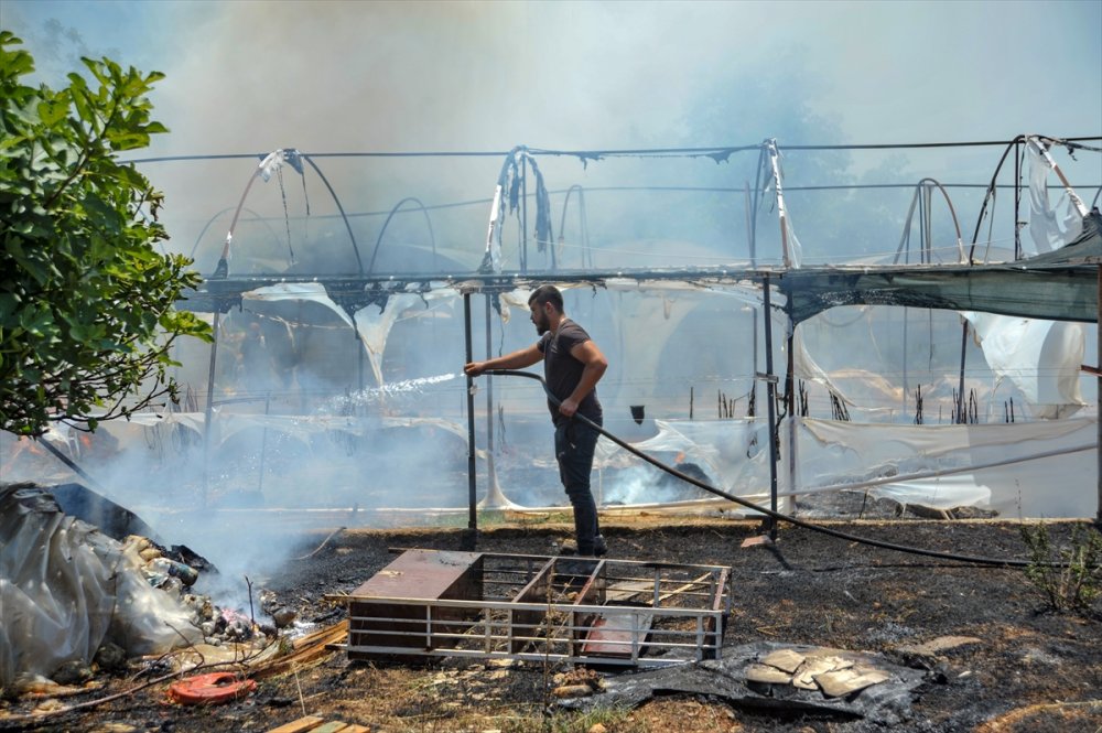Antalya'da Kuru Çiçek Serasında Çıkan Yangın Hasara Neden Oldu