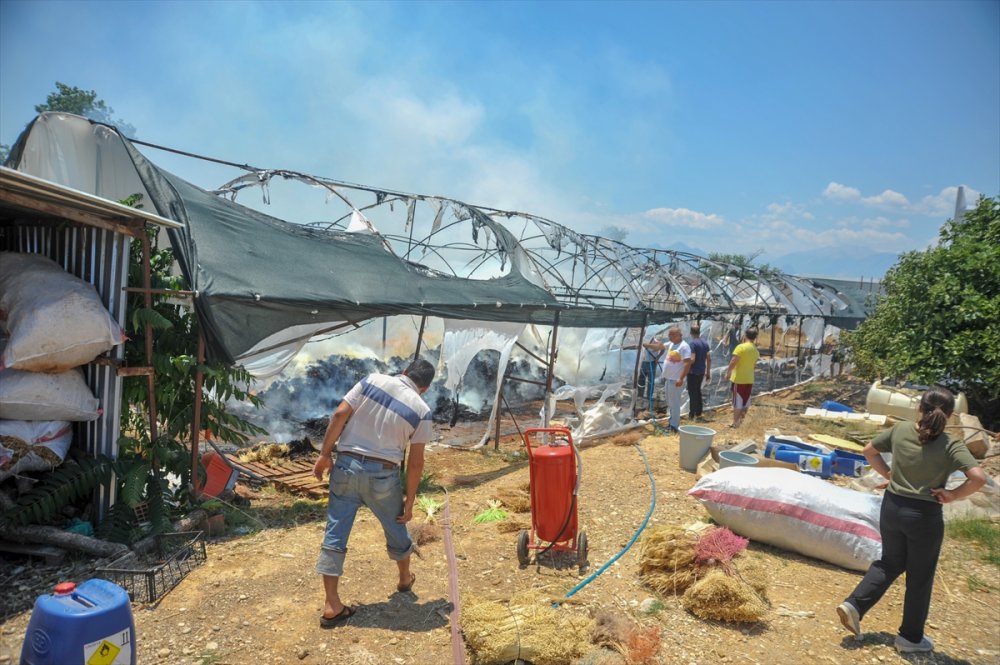 Antalya'da Kuru Çiçek Serasında Çıkan Yangın Hasara Neden Oldu
