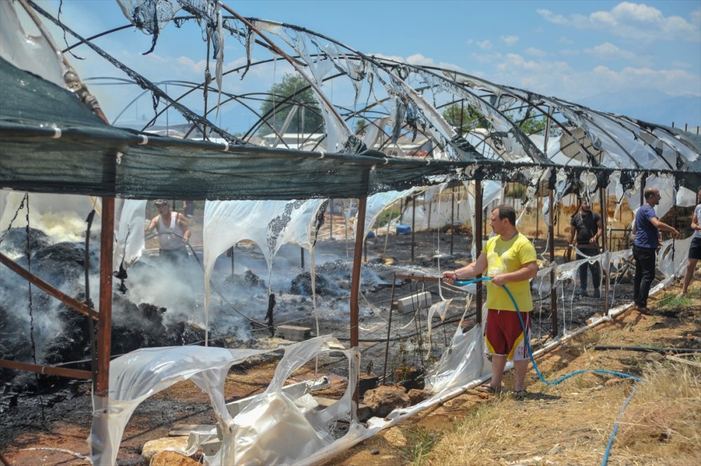 Antalya'da Kuru Çiçek Serasında Çıkan Yangın Hasara Neden Oldu