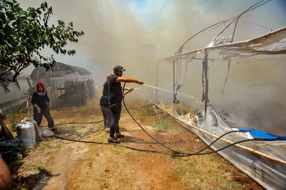 Antalya'da Kuru Çiçek Serasında Çıkan Yangın Hasara Neden Oldu