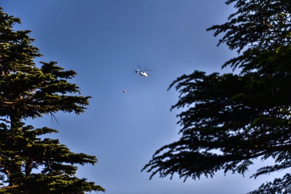 Mersin'de Dün Başlayan Orman Yangını Kontrol Altına Alındı