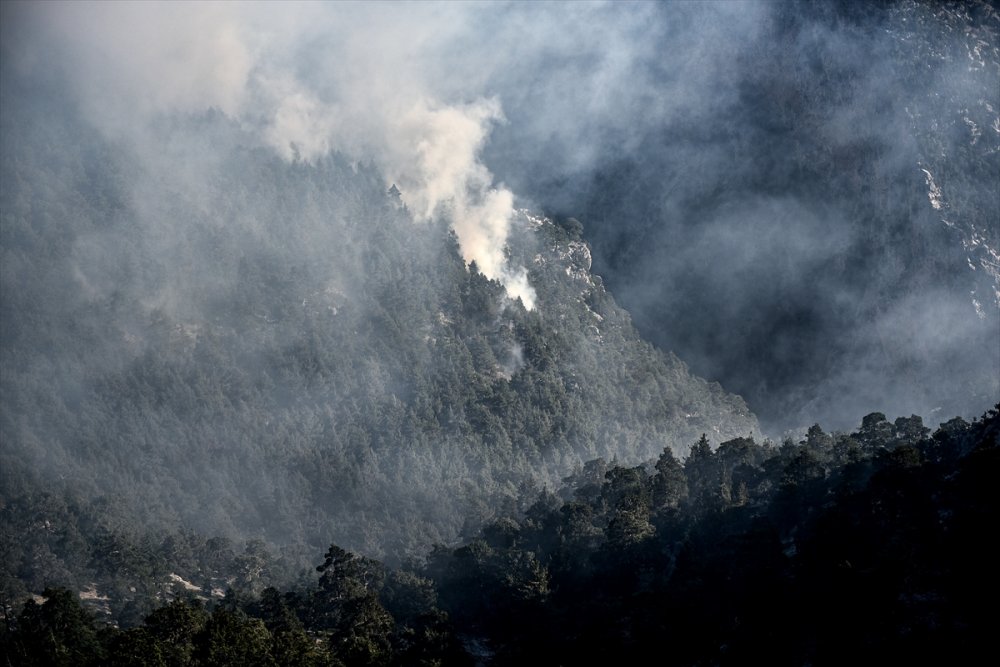 Mersin'de Dün Başlayan Orman Yangını Kontrol Altına Alındı
