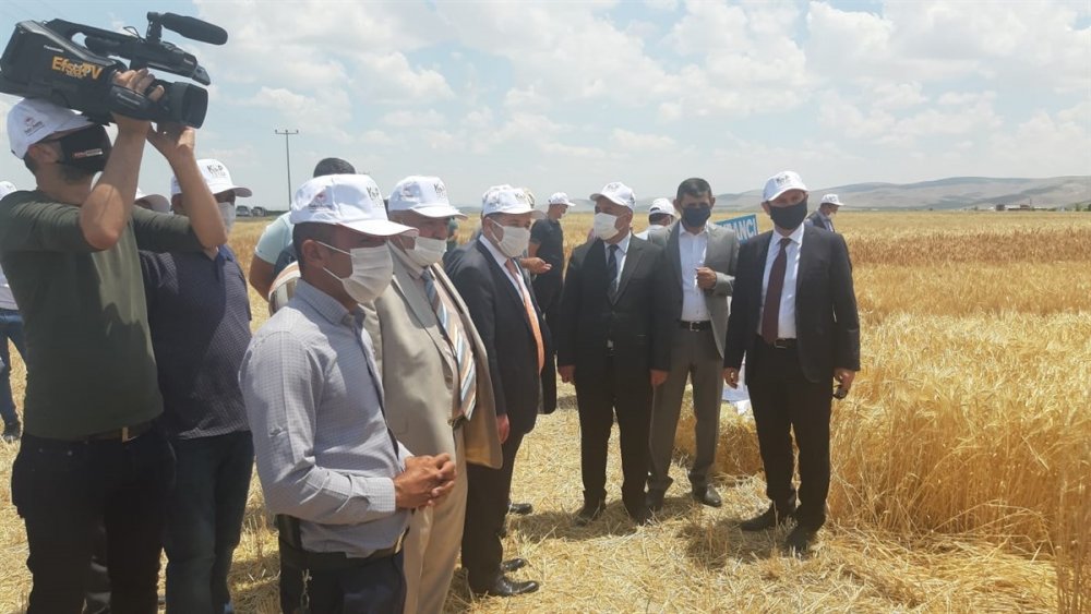 Karaman'da Kurağa Dayanıklı Çeşitlerin Tanıtılması İçin Tarla Günü Düzenlendi