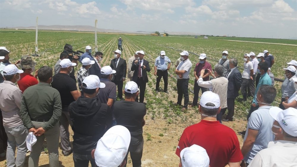 Karaman'da Kurağa Dayanıklı Çeşitlerin Tanıtılması İçin Tarla Günü Düzenlendi
