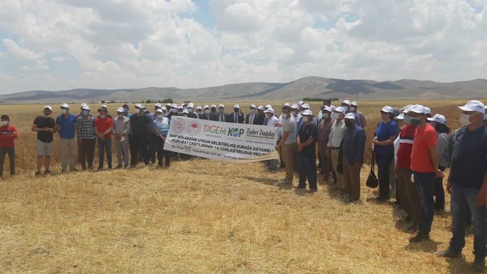 Karaman'da Kurağa Dayanıklı Çeşitlerin Tanıtılması İçin Tarla Günü Düzenlendi