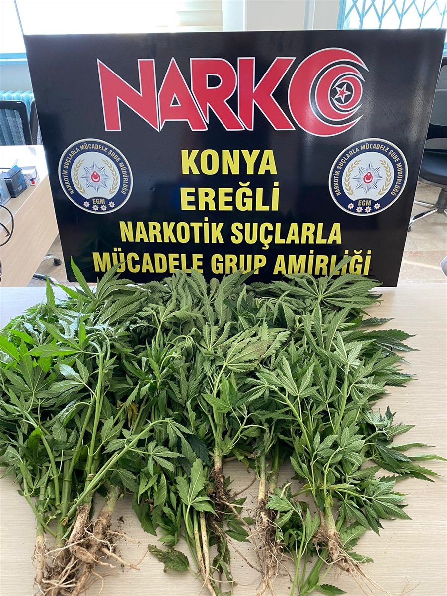 Konya'da Düzenlenen Uyuşturucu Operasyonunda 2 Zanlı, Tutuklandı