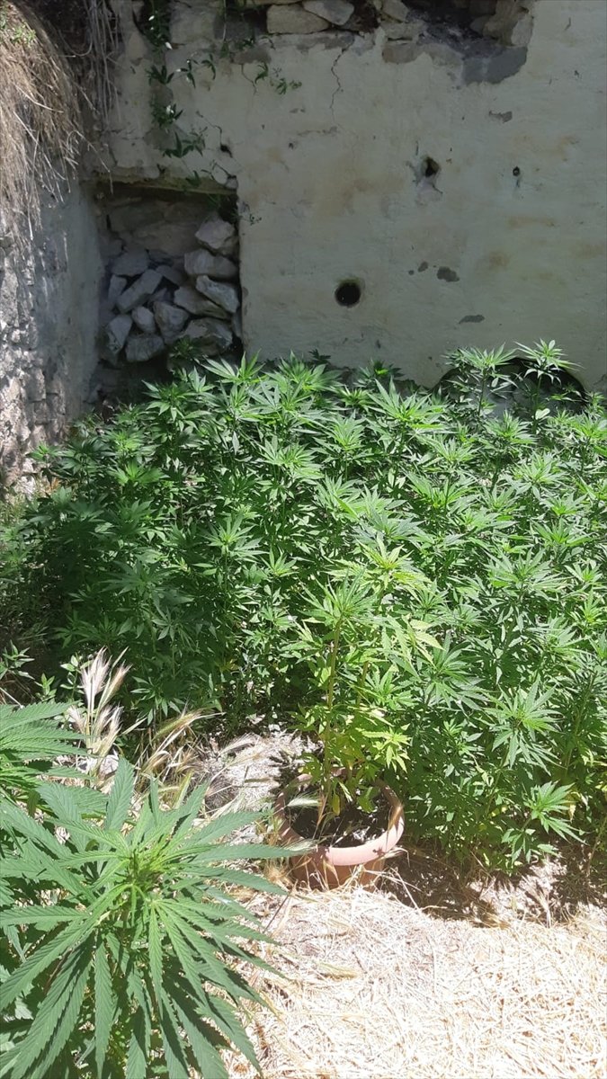 Konya'da Jandarmadan Uyuşturucu Operasyonu