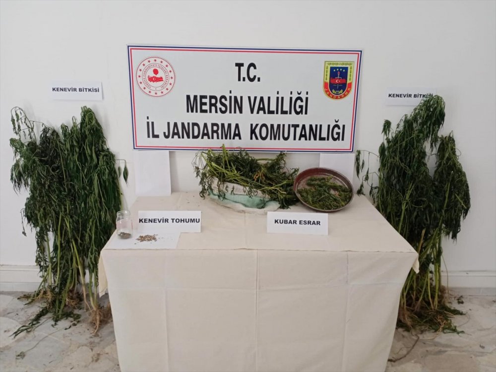 Mersin'de Uyuşturucu Operasyonu: 7 Gözaltı