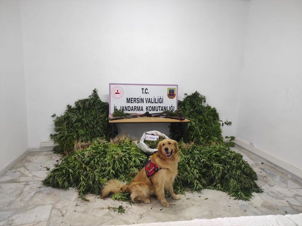 Mersin'de Uyuşturucu Operasyonu: 7 Gözaltı