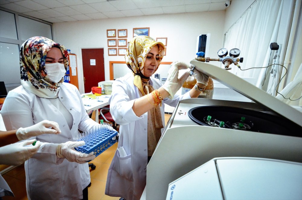 Uzmanlardan Anne Sütüne İnceleme