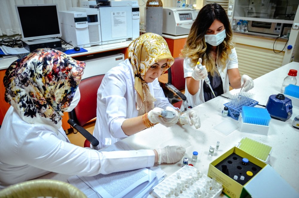 Uzmanlardan Anne Sütüne İnceleme