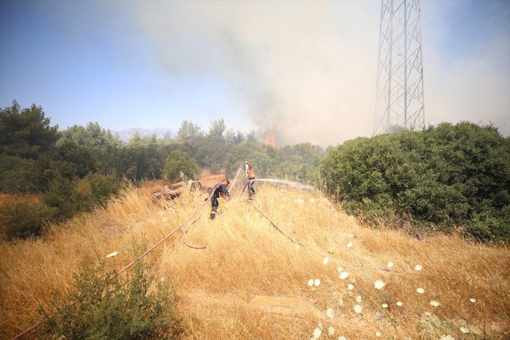 Antalya'da Zeytinpark'ta Ormanlık Ve Çalılık Alanda Yangın Çıktı
