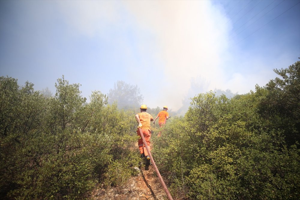 Antalya'da Zeytinpark'ta Ormanlık Ve Çalılık Alanda Yangın Çıktı