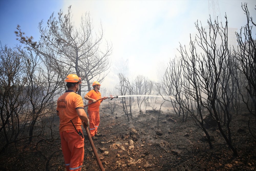 Antalya'da Zeytinpark'ta Ormanlık Ve Çalılık Alanda Yangın Çıktı