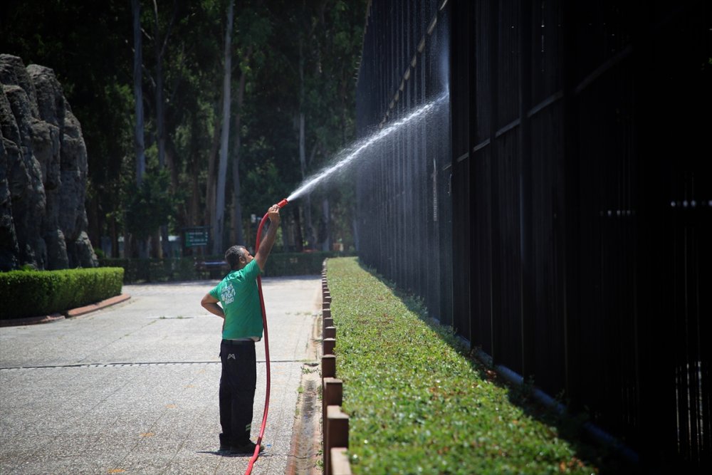 Mersin'de Sıcaktan Bunalan Hayvanlara Serinletici Hizmet