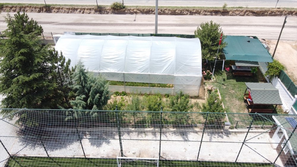 Minik Eller, Okul Bahçesindeki Serada Ata Tohumlarıyla Tarım Ürünleri Yetiştiriyor