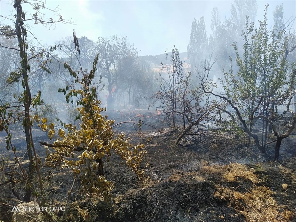 Karaman'ın Ermenek İlçesinde Bahçe Yangını