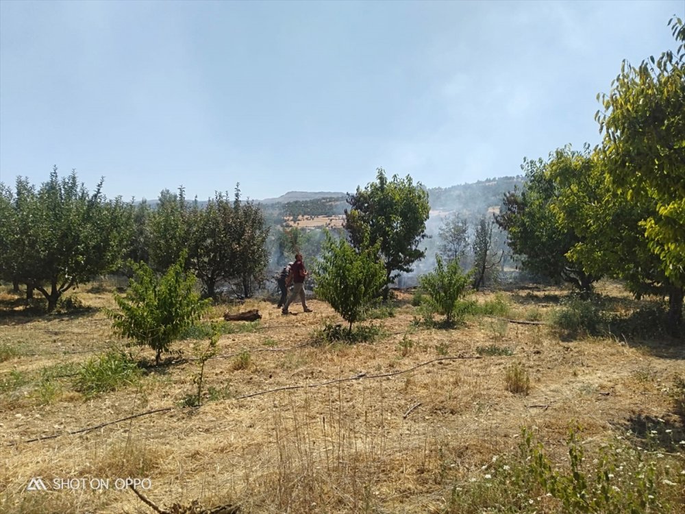Karaman'ın Ermenek İlçesinde Bahçe Yangını