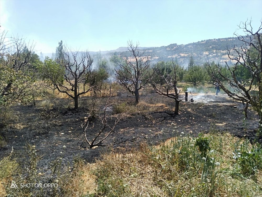 Karaman'ın Ermenek İlçesinde Bahçe Yangını