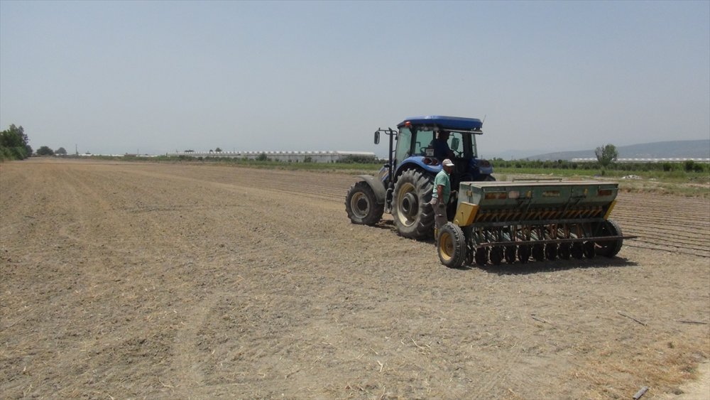 Mersin Valisi Su, Silifke'de Çeltik Ekim Törenine Katıldı