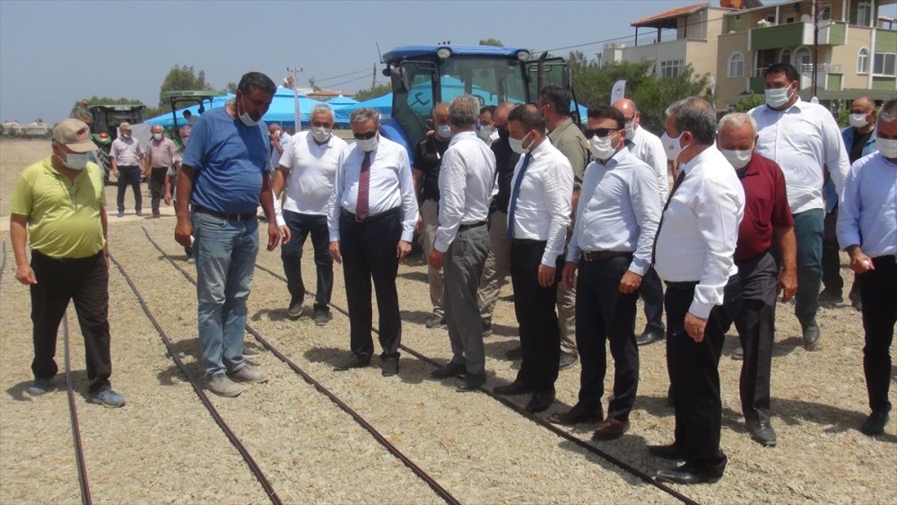 Mersin Valisi Su, Silifke'de Çeltik Ekim Törenine Katıldı