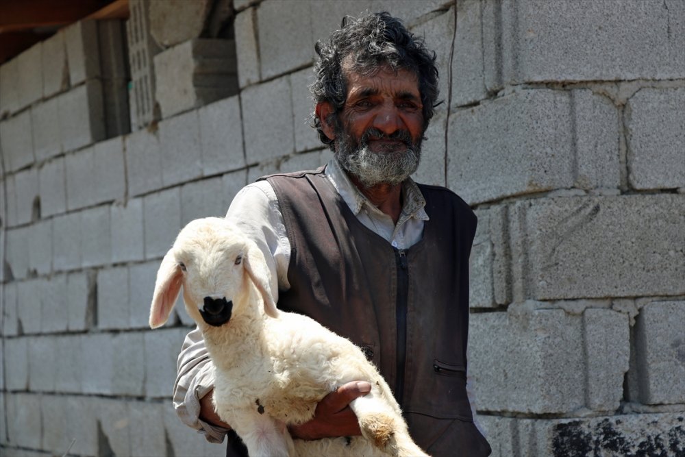 Kayseri'de Çobanlara Mobil Hizmet