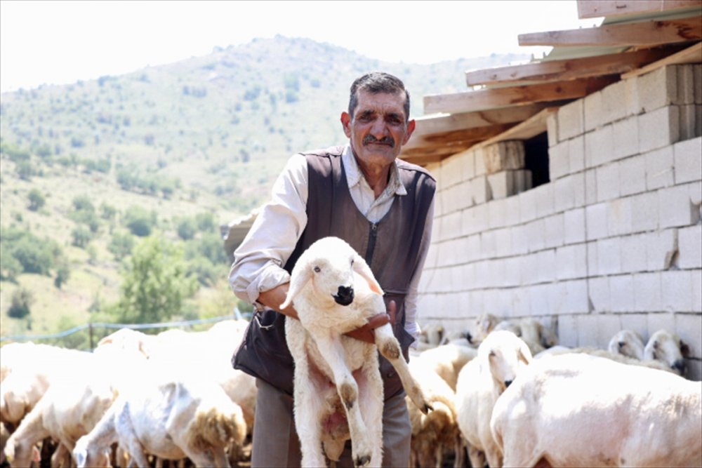 Kayseri'de Çobanlara Mobil Hizmet