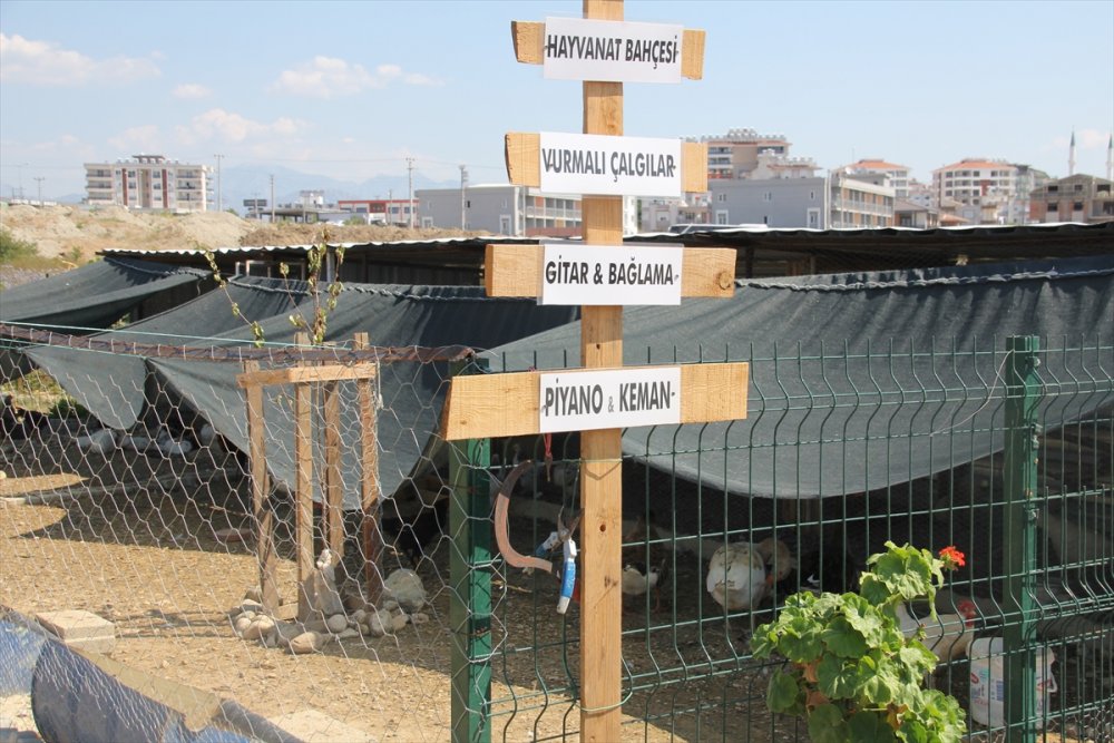 Antalya'da Doğayla İç İçe Olan "müzik Köyü Okulu"nda Çocuklar Eğlenerek Öğreniyor