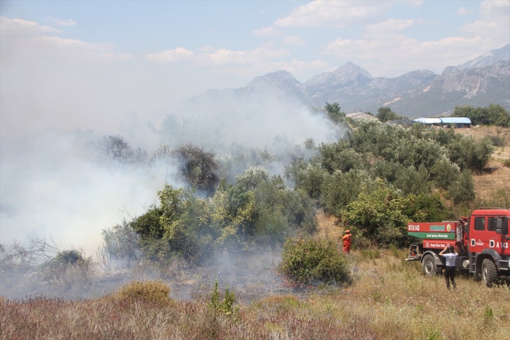 Antalya'da Yangınlar Neden Çoğaldı