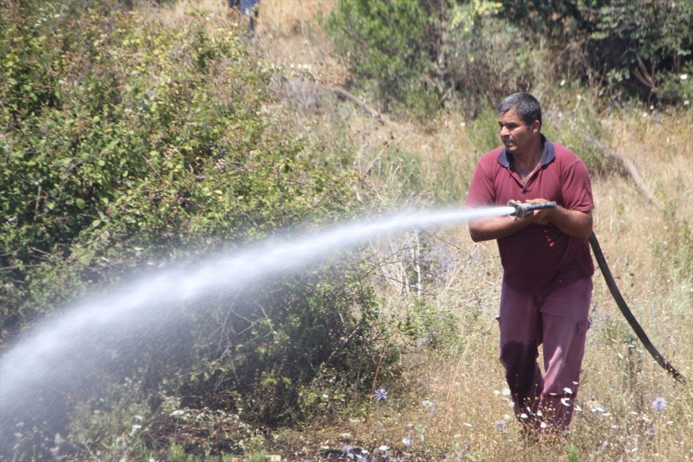 Antalya'da Yangınlar Neden Çoğaldı
