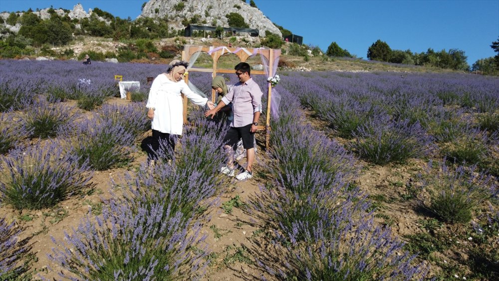 Dokuz Aylık Maaşıyla Köyüne Lavanta Bahçesi Kurdu