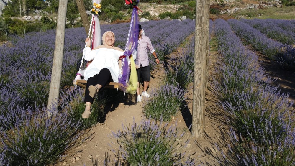 Dokuz Aylık Maaşıyla Köyüne Lavanta Bahçesi Kurdu