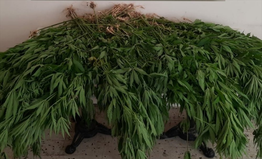 Mersin'de Uyuşturucu Operasyonlarında Yakalanan 8 Kişiden 4'ü Tutuklandı