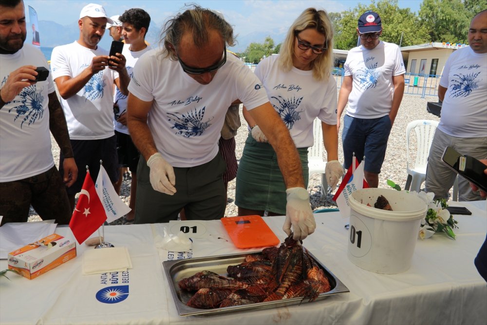 Antalya'da Zıpkınla Aslan Balığı Avlama Yarışması Düzenlendi