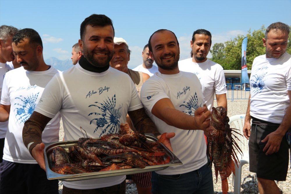 Antalya'da Zıpkınla Aslan Balığı Avlama Yarışması Düzenlendi