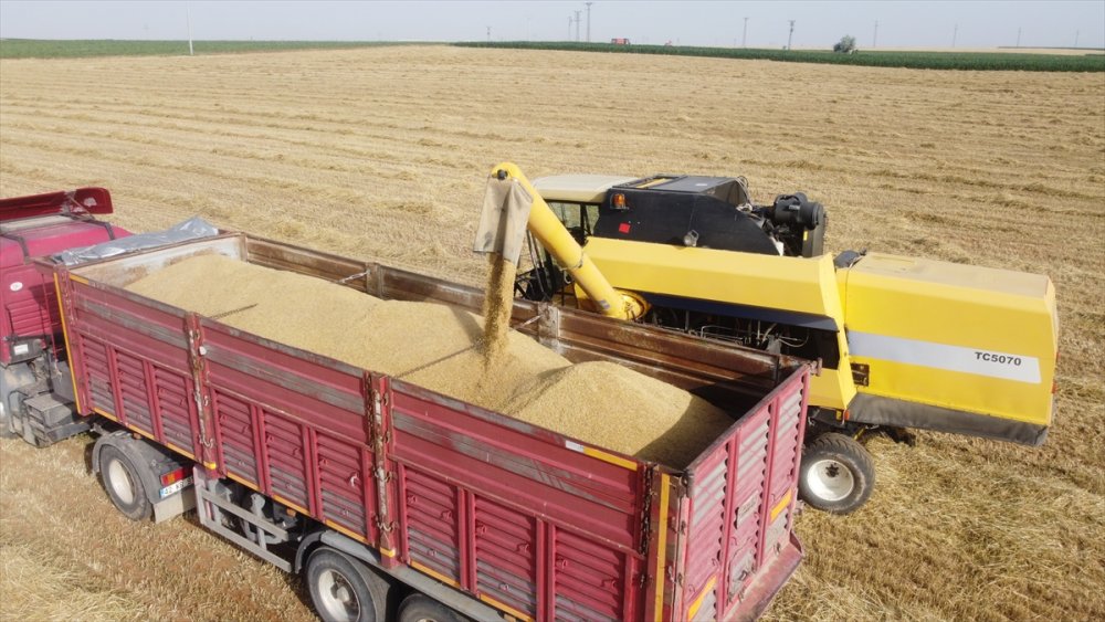 Konya Ovası'nda Bu Sezon Verim Düşük