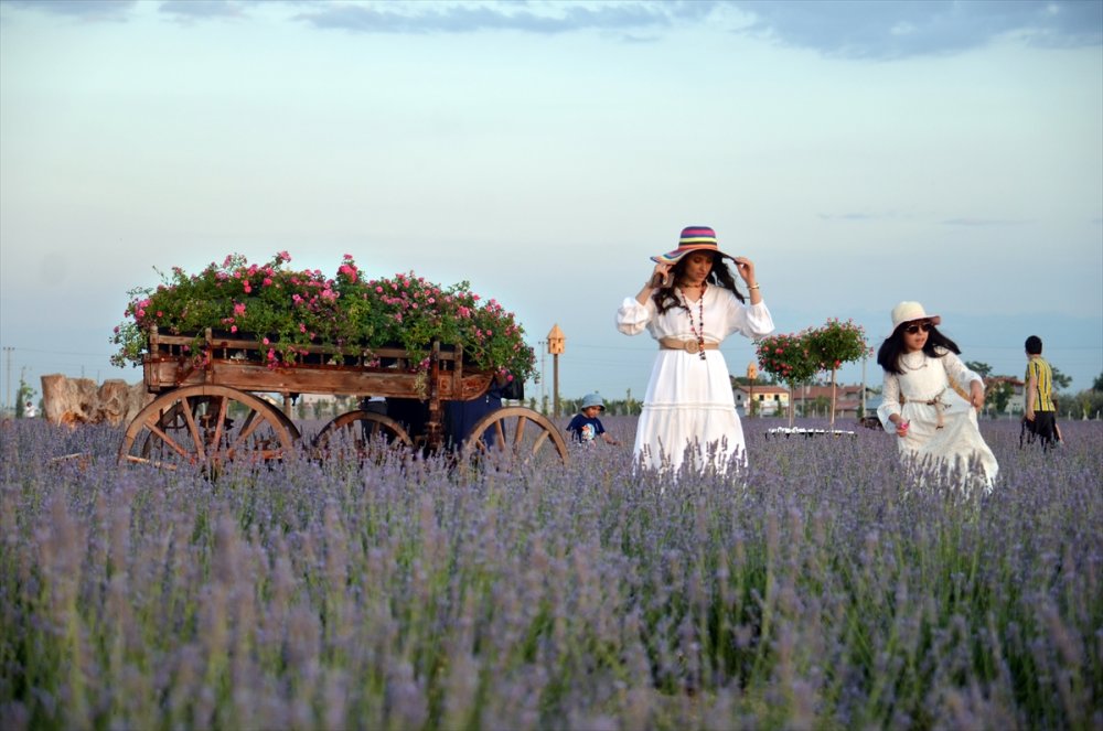 Konya'daki Lavanta Bahçeleri Fotoğraf Tutkunları İçin Doğal Stüdyo Oldu