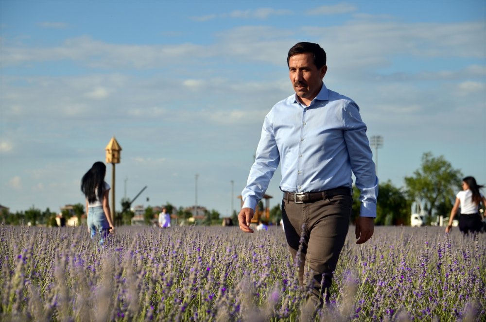 Konya'daki Lavanta Bahçeleri Fotoğraf Tutkunları İçin Doğal Stüdyo Oldu