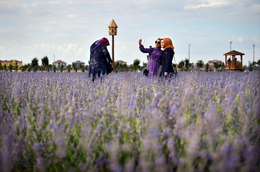 Konya'daki Lavanta Bahçeleri Fotoğraf Tutkunları İçin Doğal Stüdyo Oldu