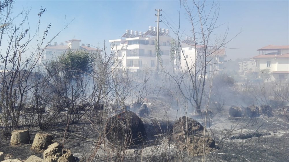 Antalya'da Çıkan Yangında Çok Sayıda Tropikal Bitki Fidanı Zarar Gördü