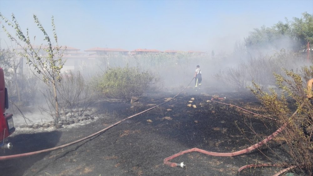 Antalya'da Çıkan Yangında Çok Sayıda Tropikal Bitki Fidanı Zarar Gördü