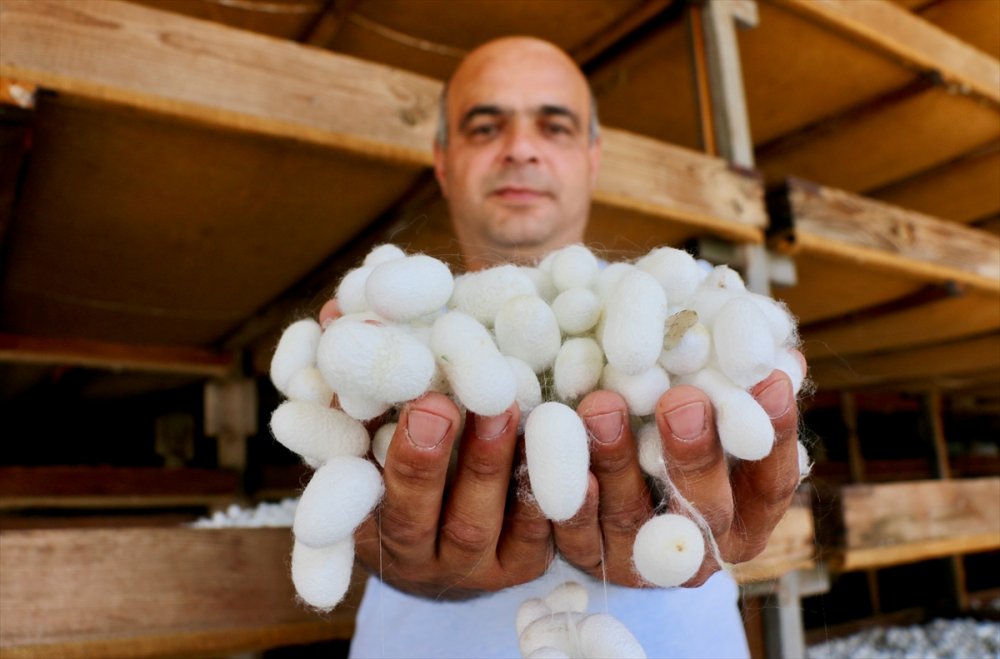 Türk İpeği Kalitesiyle Asya Ülkelerinden İlgi Görüyor