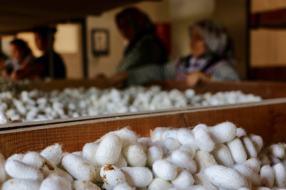 Türk İpeği Kalitesiyle Asya Ülkelerinden İlgi Görüyor