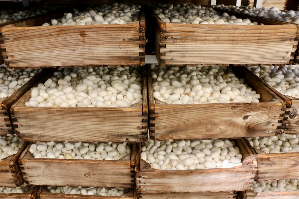 Türk İpeği Kalitesiyle Asya Ülkelerinden İlgi Görüyor