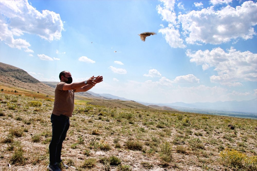 Kayseri'de Tamirci Dükkanında Kınalı Keklik Bulunduran Esnafa Para Cezası Verildi