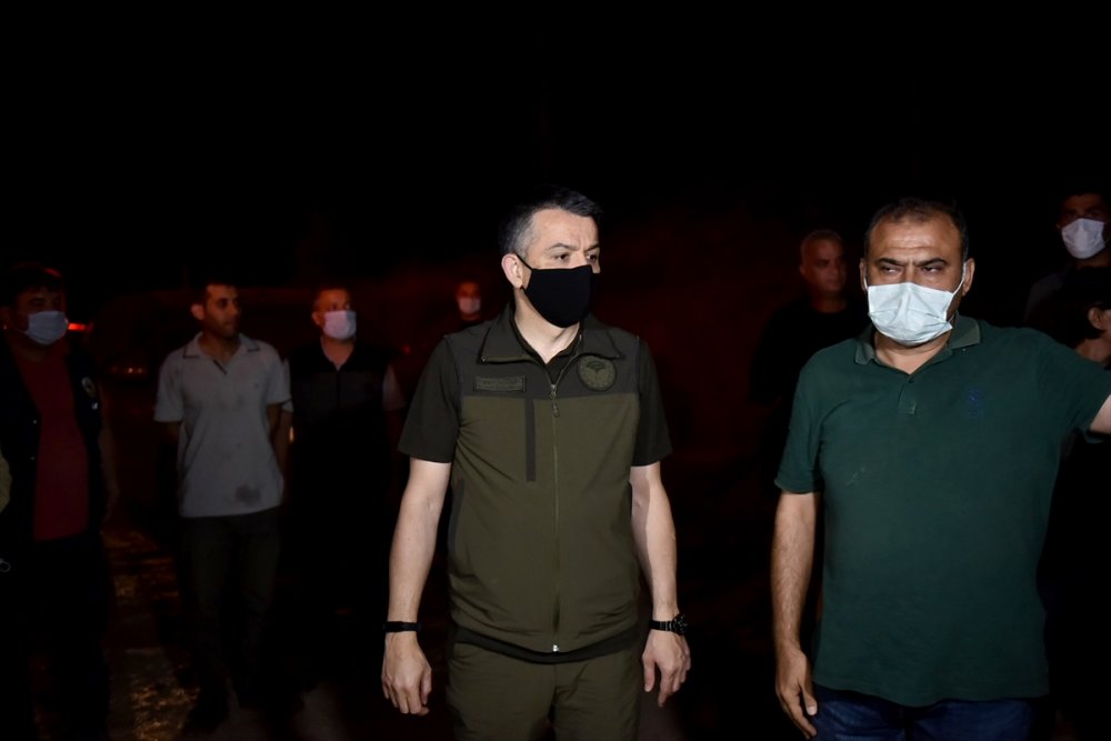 Tarım Ve Orman Bakanı Pakdemirli, Mersin Ve Hatay'daki Orman Yangınlarıyla İlgili Bilgi Verdi